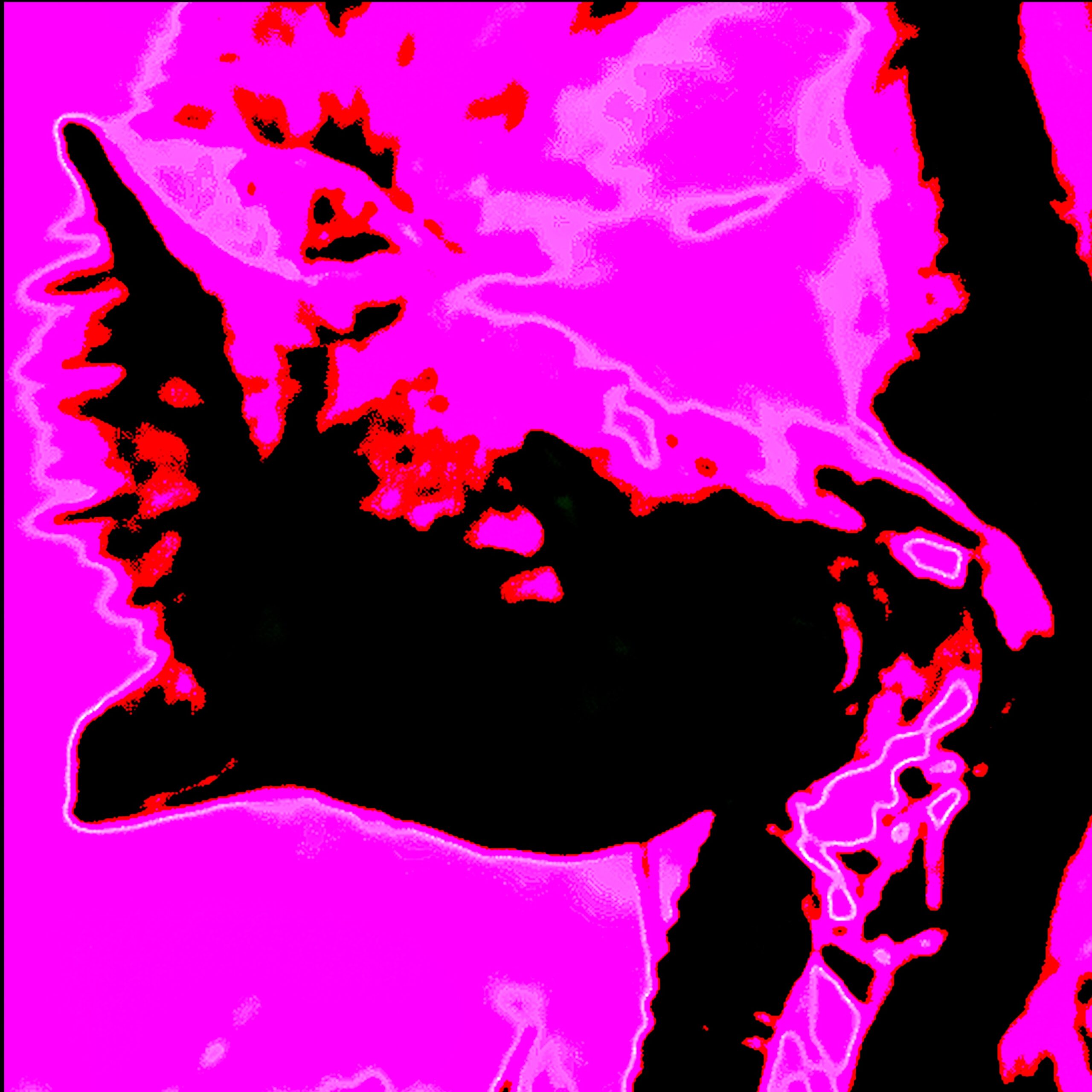 Blank Ferdinand